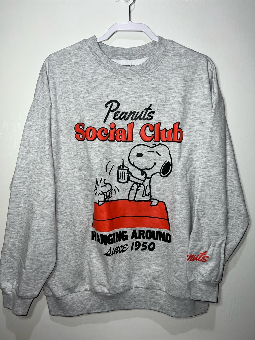 Peanuts Snoopy and Woodstock Social Club Grey Graphic Sweatshirt Red Accents M